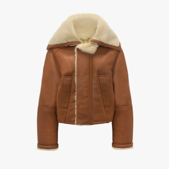 Brown coat with fur deatil