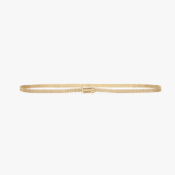 Gold micro frame belt 