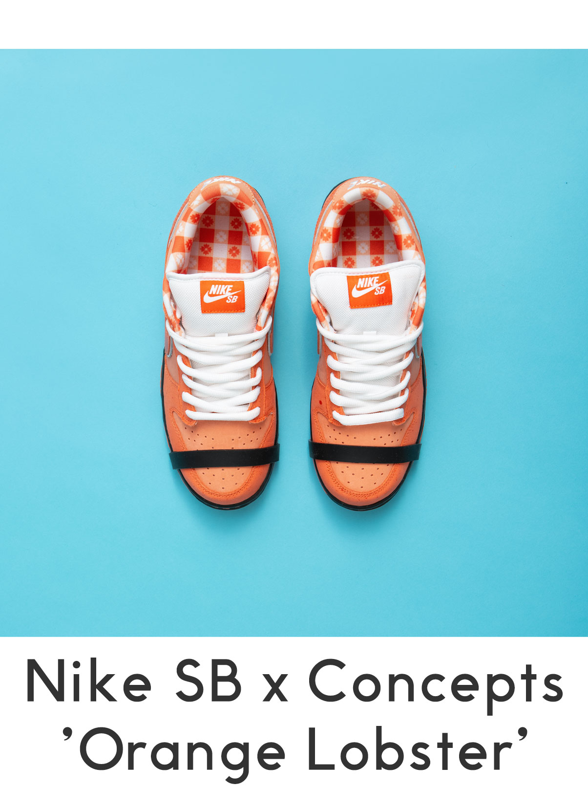 🦞Raffle Details Inside🦞 Nike SB x Concepts ‘Orange Lobster’ Dunk Low Pro Flatspot