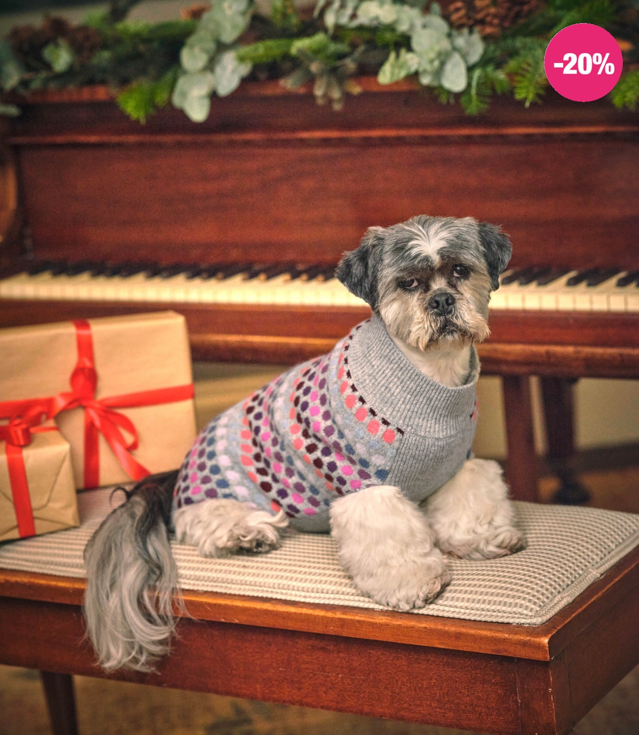 VOIR LES PULLS POUR CHIENS