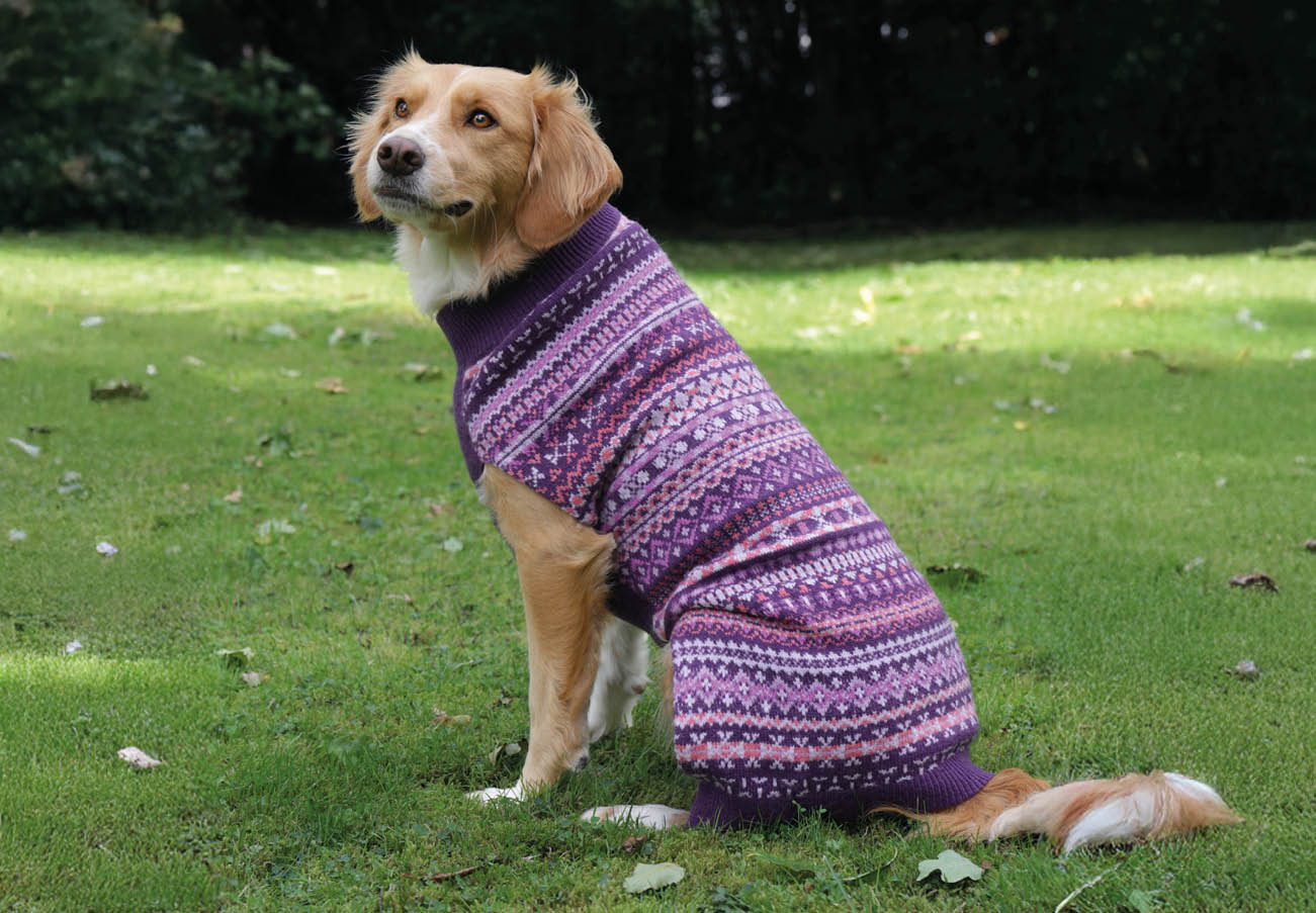 Pull Jacquard pour chien - Pure Laine d'agneau