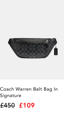 Warren Belt Bag in Signature