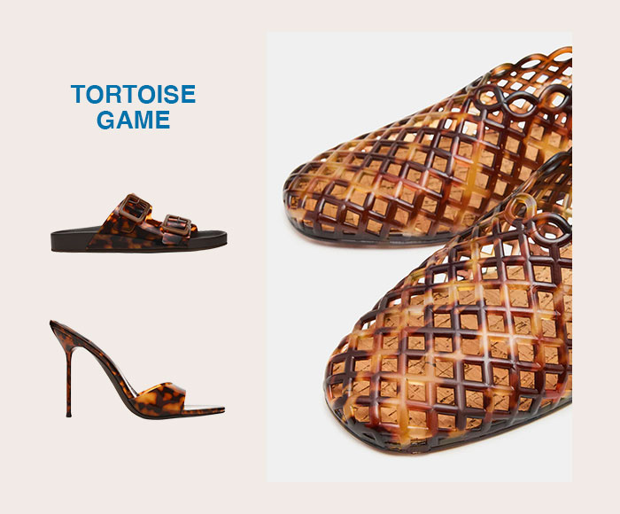 TORTOISE GAME