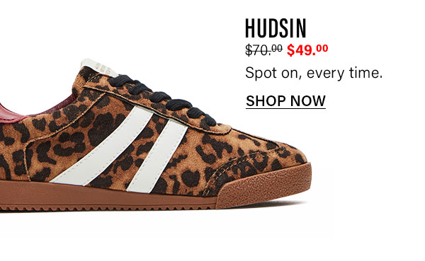 Hudsin