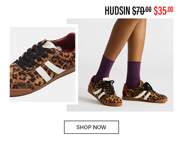 Hudsin