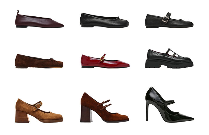 SWANKY, CALICO, CALARA, ELEVE, LOLLI, LUANNE, LISBON, SIGGY, JANE