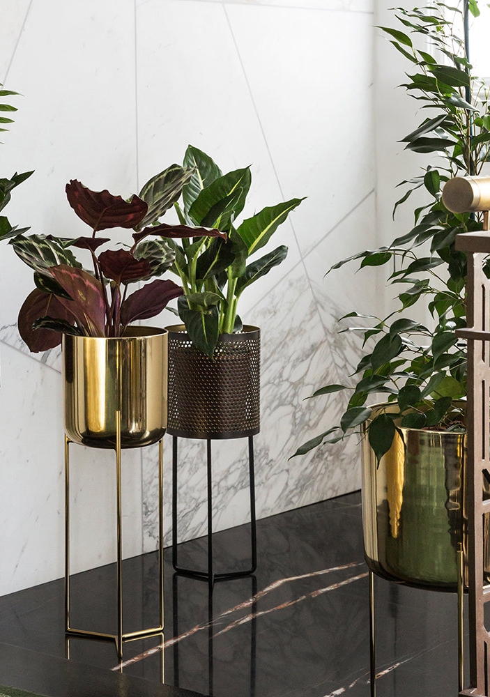 Home Accessories