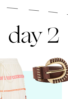 Brown Belt