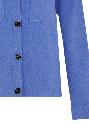 Blue Cardigan