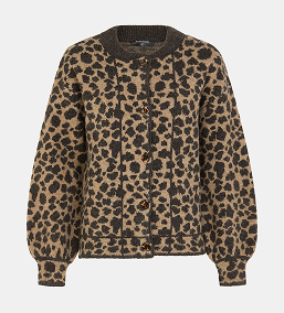 Leopard Print Jumper