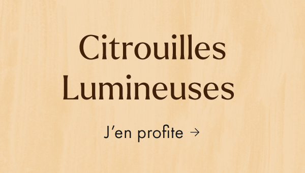 Citrouilles décoratives & lumineuses