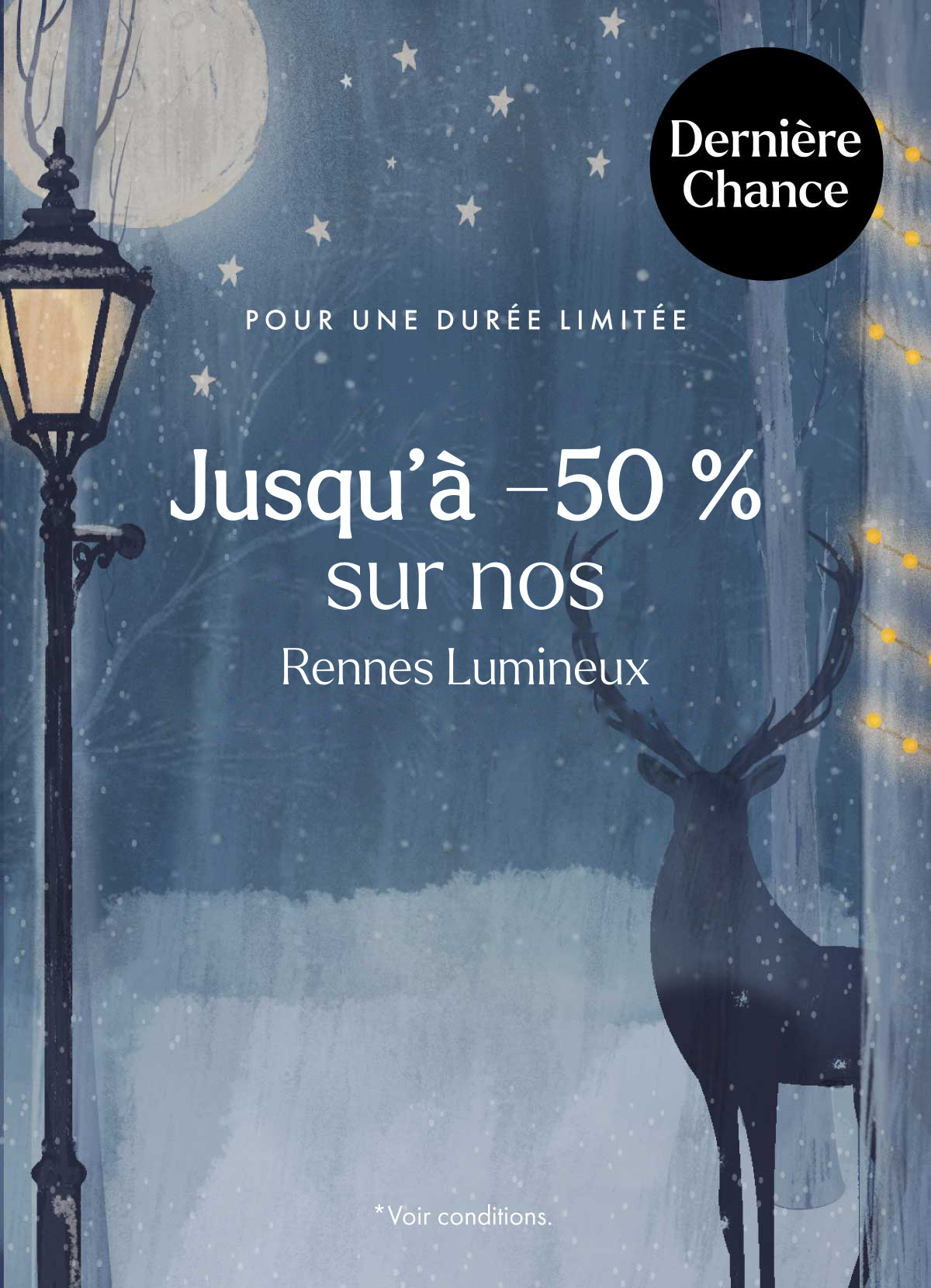  Promo flash rennes lumineux : jusqu'à -50 %