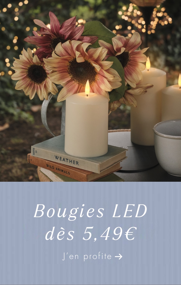 Bougies LED dès 5,49 €