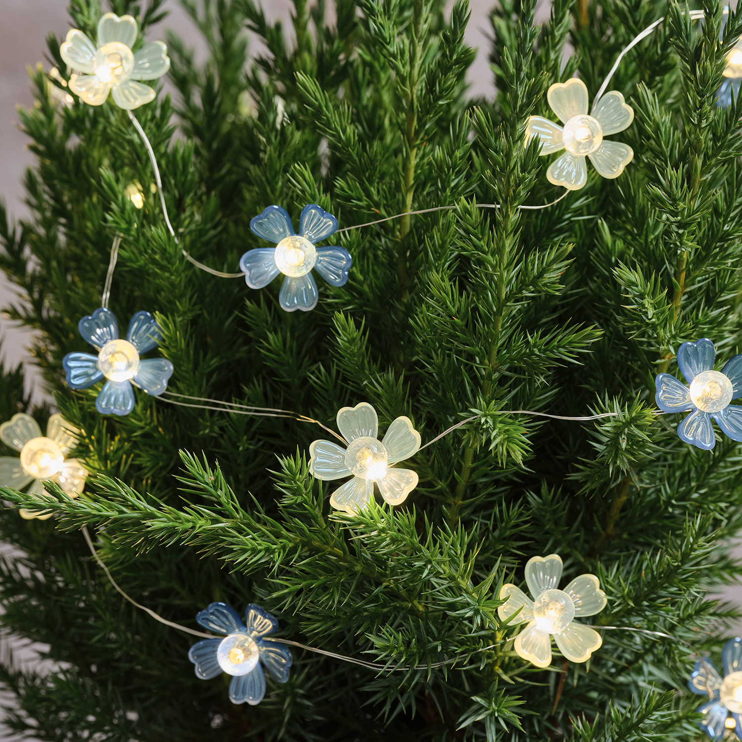  Guirlandes Lumineuses 