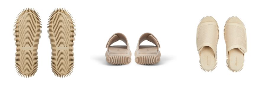 seashell slides