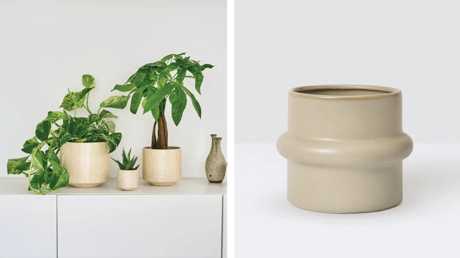 Meet our brandnew pots 🪴 Patch Plants