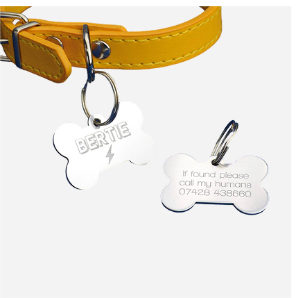 Personalised Silver Dog Tag