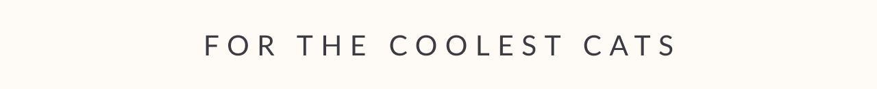 For the coolest cats