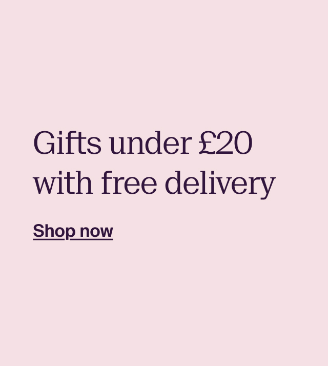 Gifts under £20 with free delivery 