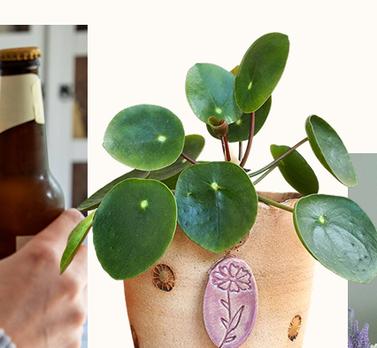 Birth Flower Pottery Plant Pot Gift Handmade Planter