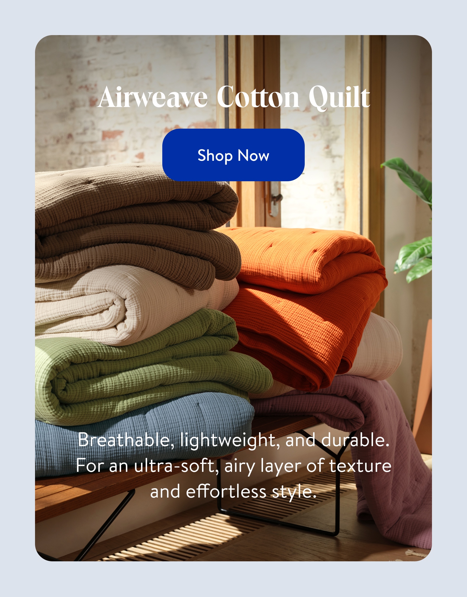 Shop Now